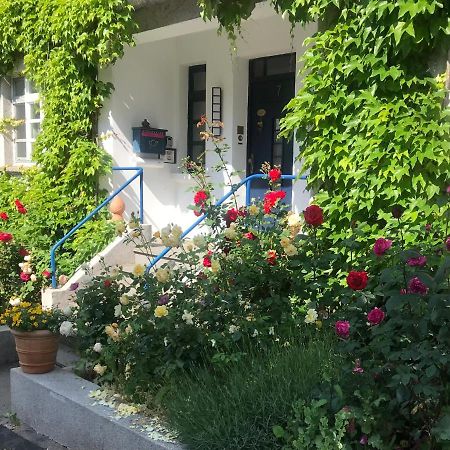 Kunsthaus Mit Gartensauna Dierdorf Extérieur photo