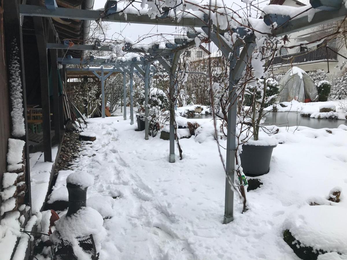 Kunsthaus Mit Gartensauna Dierdorf Extérieur photo