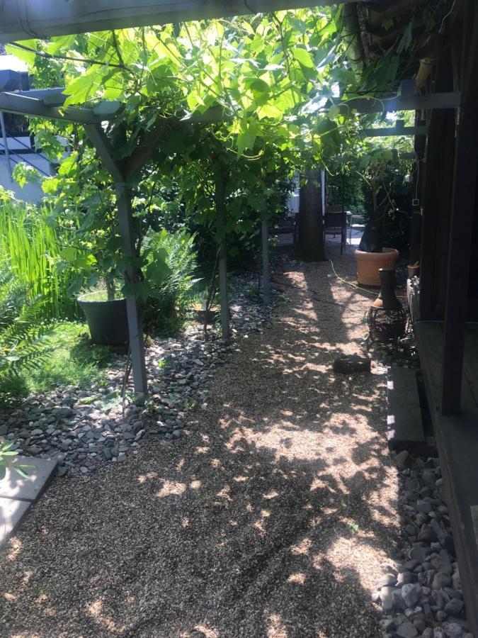 Kunsthaus Mit Gartensauna Dierdorf Extérieur photo